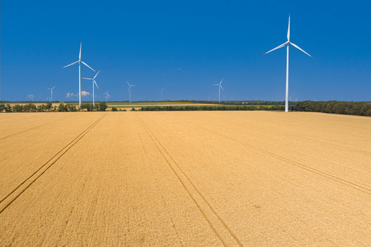Aerial view of a golden wheat field with wind turbines under a clear blue sky in Saints Constantine and Helena Varna Bulgaria.
