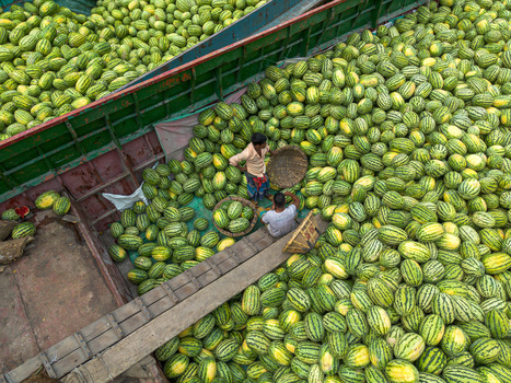 Dhaka Bangladesh 04 April 2026 Aerial view of a vibrant river market brimming with countless green and yellow striped melons where vendors work diligently amongst the colorful bounty. Dhaka Bangladesh 04 April 2026 Aerial view of a vibrant river market brimming with countless green and yellow striped melons where vendors work diligently amongst the colorful bounty.