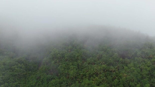 Aerial view of tropical forest on Mahe island Seychelles.