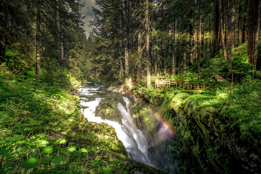View of Sol Duc Falls in Olympic National Park with cascading water a vibrant rainbow moss covered rocks and dense temperate rainforest in Port Angeles Washington United States.