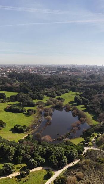Aerial view of the greenery and lake Portugal.