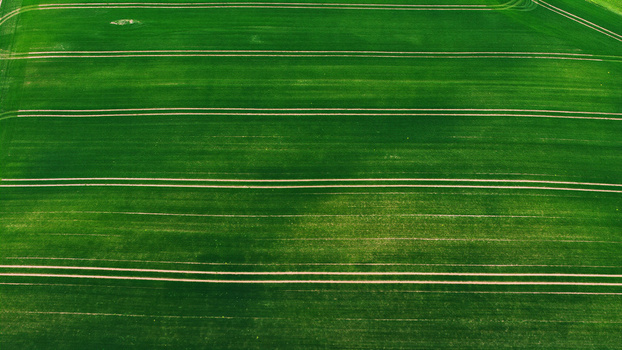 Aerial view of a vibrant green agricultural field with parallel tractor tracks stretching across the landscape in Latvia. Aerial view of a vibrant green agricultural field with parallel tractor tracks stretching across the landscape in Latvia.