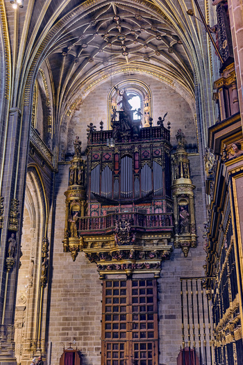 Plasencia Spain 03 December 2025 View of the ornate pipe organ and intricate vaulted ceiling inside the Catedral Nueva de Plasencia. Plasencia Spain 03 December 2025 View of the ornate pipe organ and intricate vaulted ceiling inside the Catedral Nueva de Plasencia.