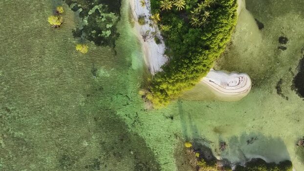 Aerial view of a tropical island with palm trees and clear water Maldives. Aerial view of a tropical island with palm trees and clear water Maldives.