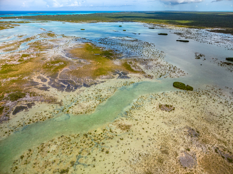 Aerial view of the intricate coastal wetlands and shallow turquoise waters with lush green mangroves and sandbars near Rolleville Exuma The Bahamas.