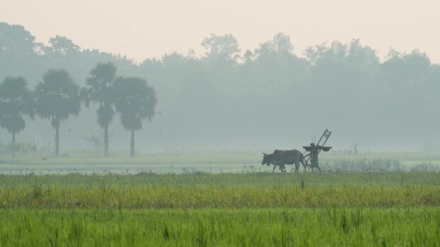 View of a farmer with a cow in a rural field in Bogura Bangladesh.