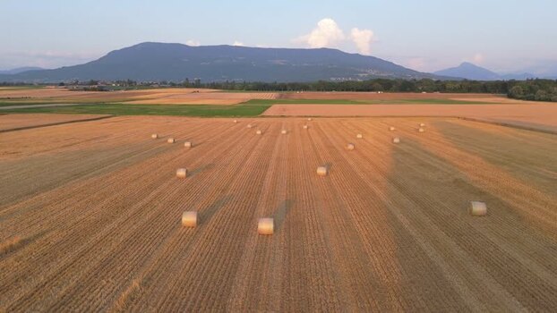 Aerial view of hay bales in harvested fields with mountains Switzerland.