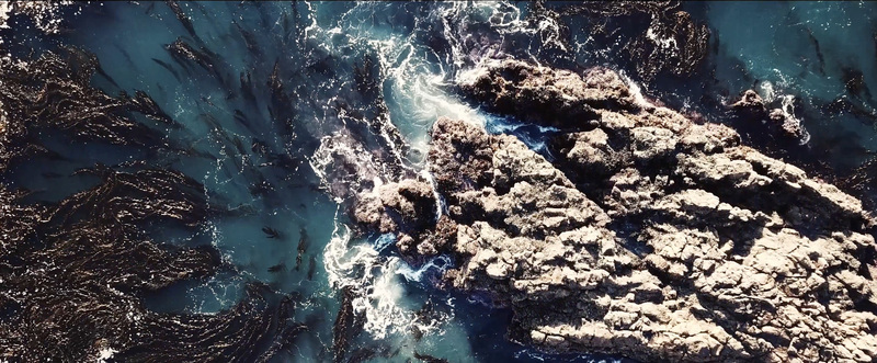 Aerial view of rugged rocky coastline with dark seaweed beds floating in clear blue ocean water Los Angeles California United States.