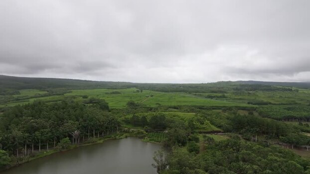 Aerial view of tea plantations and lake in Bois Cheri Mauritius. Aerial view of tea plantations and lake in Bois Cheri Mauritius.