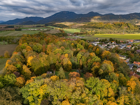 Aerial view of autumn s embrace as vibrant trees meet the distant hills under a dynamic sky Mosovce Zilina Region Slovakia. Aerial view of autumn s embrace as vibrant trees meet the distant hills under a dynamic sky Mosovce Zilina Region Slovakia.