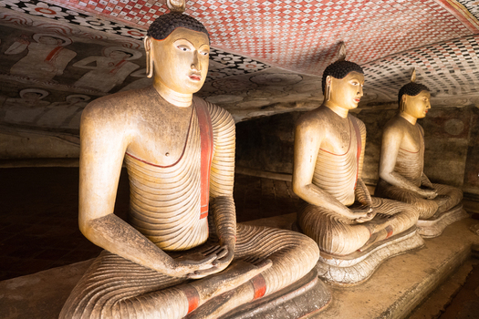View of ancient seated Buddha statues with saffron robes and intricate ceiling murals inside the Dambulla Cave Temple Dambulla Central Province Sri Lanka.