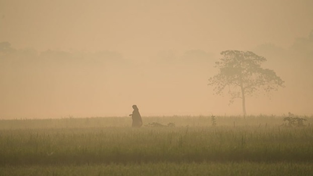 View of a woman walking through a foggy rural field Bangladesh.
