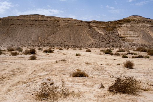 View of the arid landscape and rugged terrain where sparse vegetation dots the sandy expanse under a bright sky Cairo Cairo Governorate Egypt. View of the arid landscape and rugged terrain where sparse vegetation dots the sandy expanse under a bright sky Cairo Cairo Governorate Egypt.