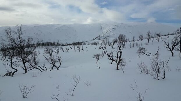 Aerial view of the snowy landscape of Kvaloya Norway.
