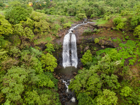 Aerial view of a waterfall cascading through the lush green forest of the Sahyadri Mountains in Pune Maharashtra India. Aerial view of a waterfall cascading through the lush green forest of the Sahyadri Mountains in Pune Maharashtra India.
