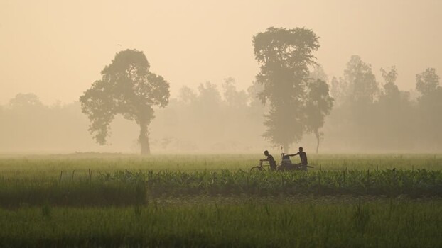 View of farmers in a misty field at dawn in Bogura Bangladesh.