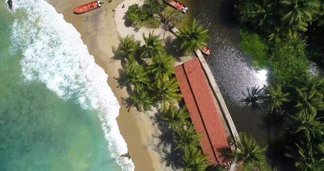Aerial view of Cepe beach with palm trees and boats Venezuela.