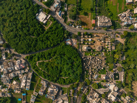 Aerial view of Ahar Cenotaphs temple complex surrounded by lush green trees and urban residential buildings in Udaipur Rajasthan India.