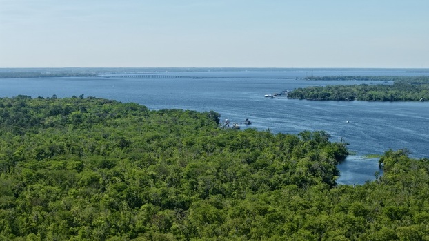 Aerial view of the tranquil waters meet the lush greenery along Palmo Fish Camp Road St. Augustine Florida United States. Aerial view of the tranquil waters meet the lush greenery along Palmo Fish Camp Road St. Augustine Florida United States.
