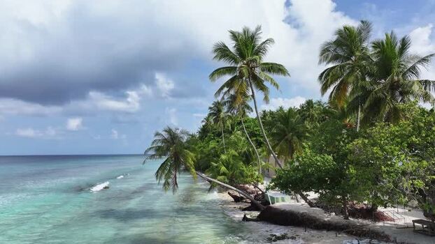 Aerial view of tropical palm trees and turquoise ocean Maldives. Aerial view of tropical palm trees and turquoise ocean Maldives.