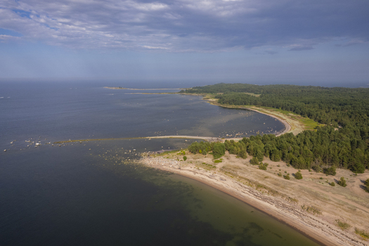 Aerial view of the coastline of Parispea peninsula with sandy beaches dense pine forests and rocky shores along the Baltic Sea in Parispea Harju County Estonia.