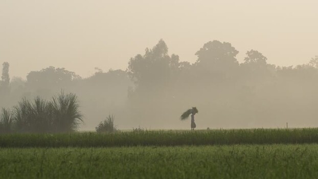 View of a farmer carrying a bundle in a misty field Bangladesh.