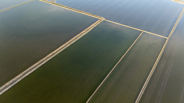 Aerial view of flooded rice fields at Isla Minima with geometric patterns and water reflections Coria del Rio Andalusia Spain. Aerial view of flooded rice fields at Isla Minima with geometric patterns and water reflections Coria del Rio Andalusia Spain.