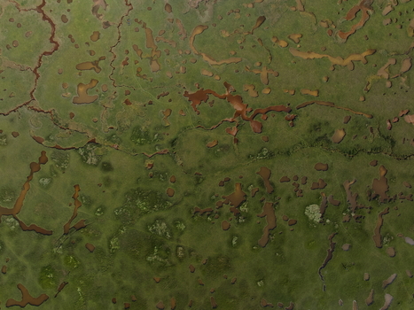 Aerial view of abstract tidal patterns at Culbin Sands with intricate water channels and green marshland textures in Nairn Scotland United Kingdom. Aerial view of abstract tidal patterns at Culbin Sands with intricate water channels and green marshland textures in Nairn Scotland United Kingdom.