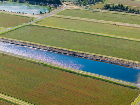 Aerial view of cranberry bogs with irrigation canals and lush green fields in Bandon Oregon United States. Aerial view of cranberry bogs with irrigation canals and lush green fields in Bandon Oregon United States.