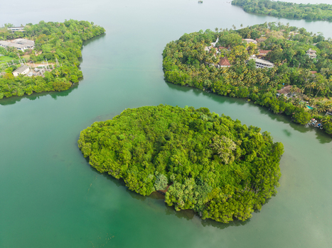 Aerial view of lush green islands surrounded by calm turquoise waters and tropical vegetation in Koggala Southern Province Sri Lanka. Aerial view of lush green islands surrounded by calm turquoise waters and tropical vegetation in Koggala Southern Province Sri Lanka.