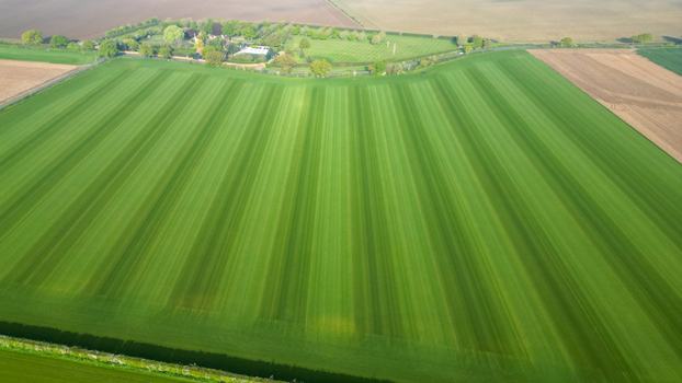 Aerial view of a large green field with distinct striped patterns bordered by lush trees and hedgerows in the United Kingdom.