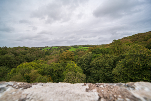 View of the lush woodland and rolling hills of the Luxulyan Valley under a cloudy sky in Luxulyan Cornwall United Kingdom. View of the lush woodland and rolling hills of the Luxulyan Valley under a cloudy sky in Luxulyan Cornwall United Kingdom.
