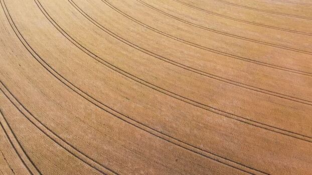 Aerial view of golden wheat field Germany.