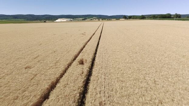 Aerial view of wheat fields in the countryside of Serbia. Aerial view of wheat fields in the countryside of Serbia.