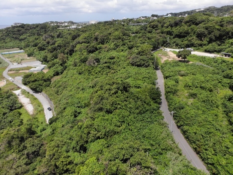 Aerial view of lush green forest covering the hills of Nanjo with winding roads and agricultural fields in the distance Nanjo Okinawa Japan. Aerial view of lush green forest covering the hills of Nanjo with winding roads and agricultural fields in the distance Nanjo Okinawa Japan.