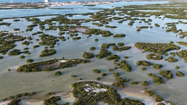 Aerial view of Yucalpeten mangroves and lagoon Mexico. Aerial view of Yucalpeten mangroves and lagoon Mexico.