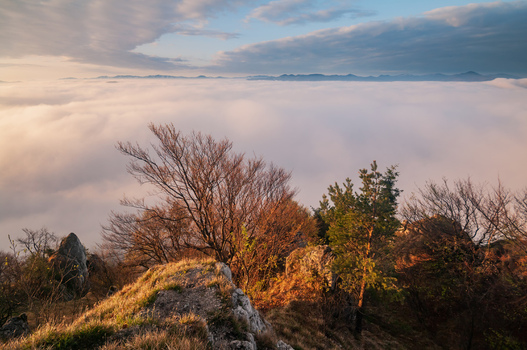 View of Sip in Mala Fatra mountain range with trees and rocks overlooking a sea of clouds at sunrise in Stankovany Zilina Region Slovakia. View of Sip in Mala Fatra mountain range with trees and rocks overlooking a sea of clouds at sunrise in Stankovany Zilina Region Slovakia.