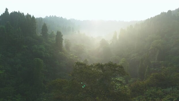 Aerial view of misty tropical forest at sunrise Indonesia. Aerial view of misty tropical forest at sunrise Indonesia.