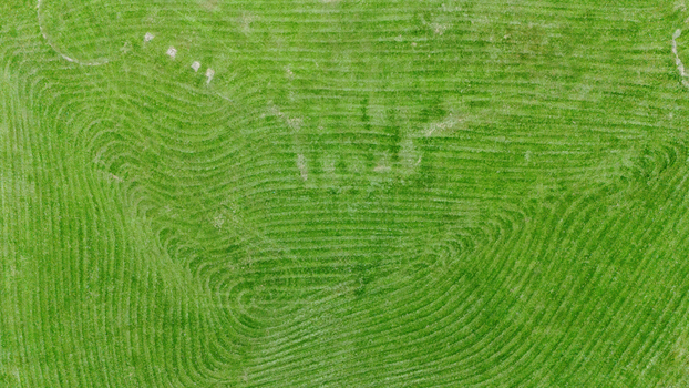 Aerial view of vibrant green agricultural fields with curved tractor tracks and textured grass patterns Novi Sad Vojvodina Serbia. Aerial view of vibrant green agricultural fields with curved tractor tracks and textured grass patterns Novi Sad Vojvodina Serbia.