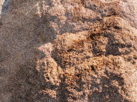 Aerial view of a large pile of wood chips and mulch with textured surface and natural light in Salgale parish Jelgava Municipality Latvia. Aerial view of a large pile of wood chips and mulch with textured surface and natural light in Salgale parish Jelgava Municipality Latvia.