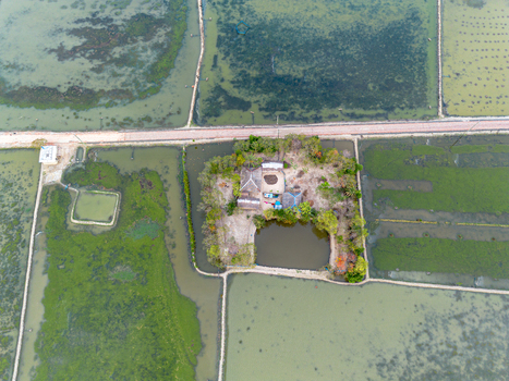 Aerial view of a small rural homestead surrounded by flooded shrimp farms and green agricultural fields in Gabura Union Khulna Division Bangladesh. Aerial view of a small rural homestead surrounded by flooded shrimp farms and green agricultural fields in Gabura Union Khulna Division Bangladesh.