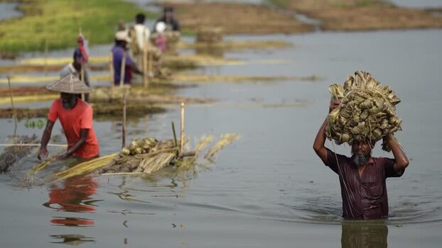 View of workers processing jute in the water Bangladesh.