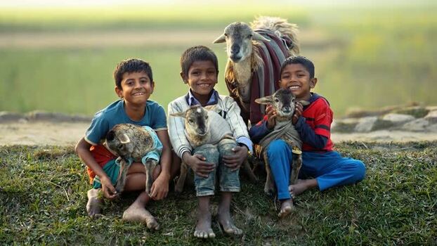 View of three boys holding lambs in a rural field Bangladesh.