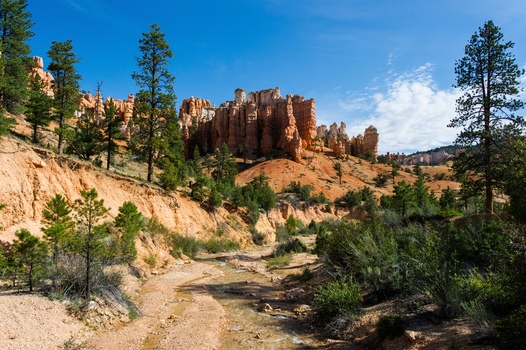 View of Bryce Canyon National Park with its iconic orange hoodoos pine trees and a small stream flowing through the landscape under a clear blue sky in Utah United States.