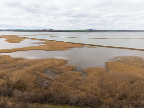 Aerial view of Lake Atanasovsko featuring vast wetlands golden reeds and salt pans under a cloudy sky in Burgas Burgas Bulgaria. Aerial view of Lake Atanasovsko featuring vast wetlands golden reeds and salt pans under a cloudy sky in Burgas Burgas Bulgaria.