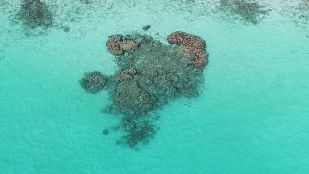 Aerial view of coral reef in turquoise water Maldives.