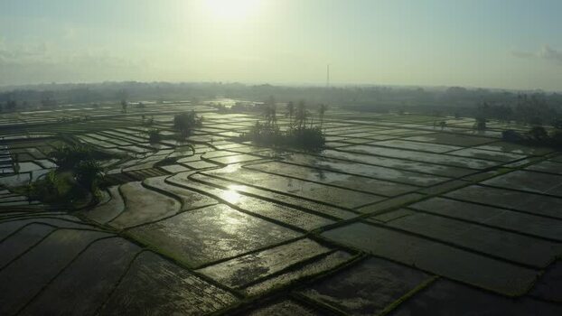 Aerial view of flooded rice terraces at sunrise in Bali Indonesia. Aerial view of flooded rice terraces at sunrise in Bali Indonesia.