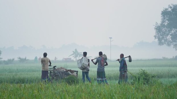 View of farmers walking through misty fields in Bogura Bangladesh.