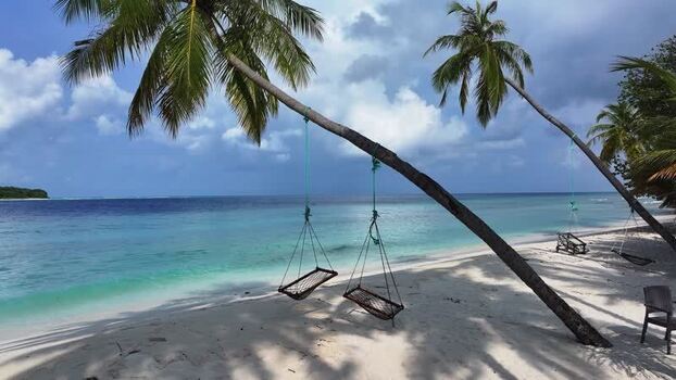 Aerial view of beach swings and leaning palm trees Maldives. Aerial view of beach swings and leaning palm trees Maldives.
