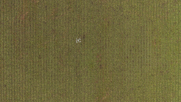 Aerial view of a vast agricultural field with uniform crop rows and a small white marker in the center in Zeewolde Flevoland Netherlands. Aerial view of a vast agricultural field with uniform crop rows and a small white marker in the center in Zeewolde Flevoland Netherlands.